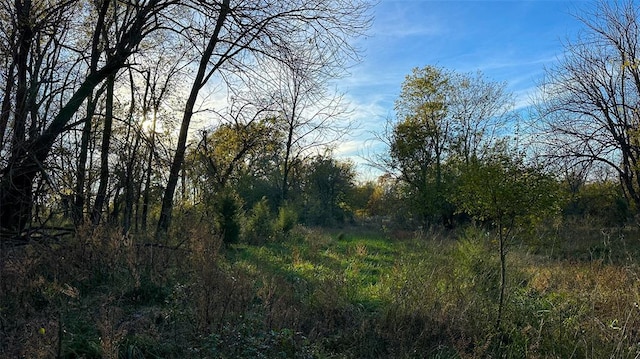 Sapphire Ridge Rd, Idabel, OK 74745 - photo 23