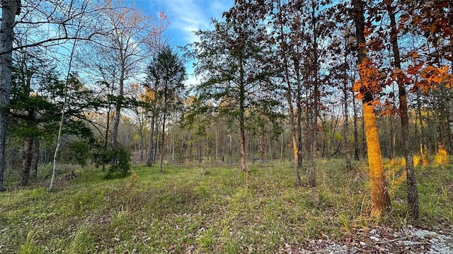 Sapphire Ridge Rd, Idabel, OK 74745 - photo 24