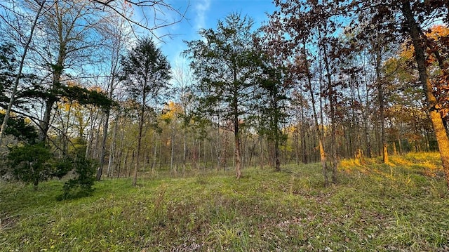 Sapphire Ridge Rd, Idabel, OK 74745 - photo 25