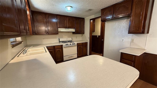 3308 Resh Ct, Norman, OK 73072 - kitchen featuring gas range gas stove, under cabinet range hood, light countertops, dark brown cabinets, and a textured ceiling