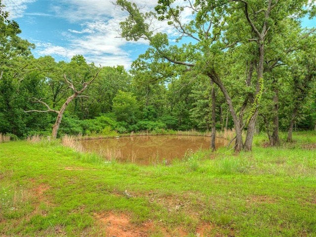 19855 Walker Rd, Mcloud, OK 74851 - view of yard with a forest view