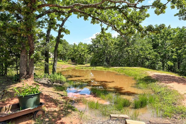 19100 SE 134th St, Mcloud, OK 74851 - view of yard with a water view