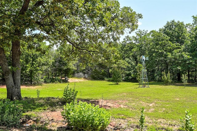 19100 SE 134th St, Mcloud, OK 74851 - view of grassy yard