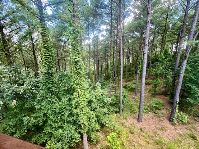 1723 Pine Hills Rd, Broken Bow, OK 74728 - view of wooded area