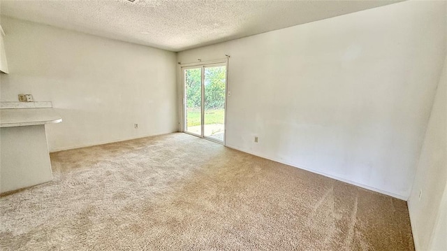 2719 Osage Way, Norman, OK 73071 - unfurnished living room featuring carpet flooring and a textured ceiling