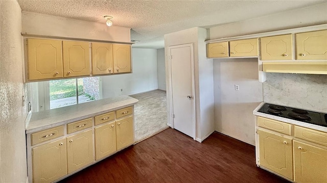 2719 Osage Way, Norman, OK 73071 - kitchen with dark wood-style flooring, light countertops, a textured ceiling, a peninsula, and under cabinet range hood