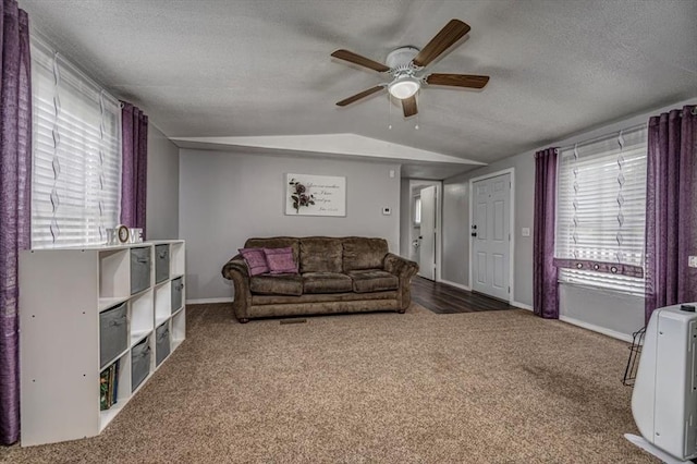 6550 N Indian Meridian Rd, Coyle, OK 73027 - carpeted living room featuring vaulted ceiling, ceiling fan, and a textured ceiling