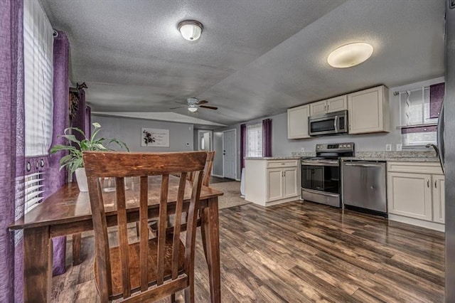 6550 N Indian Meridian Rd, Coyle, OK 73027 - kitchen with appliances with stainless steel finishes, a ceiling fan, a textured ceiling, lofted ceiling, and dark wood-style flooring