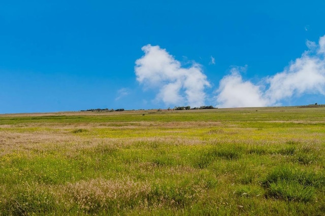12223 N 2040th Rd, Sentinel, OK 73664 - view of undeveloped land with rural landscape