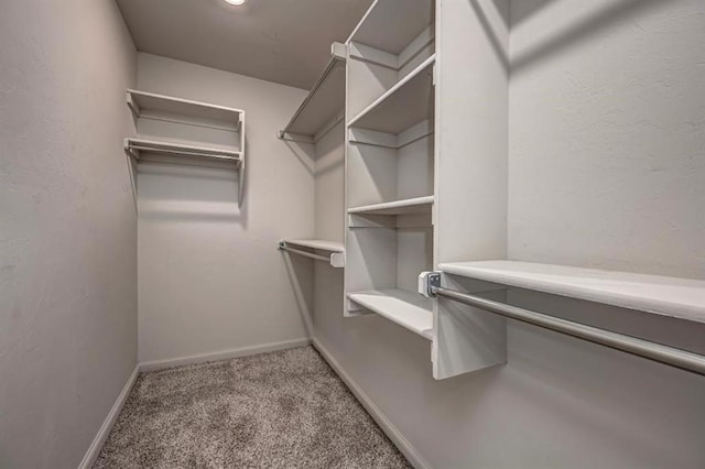 4217 NW 151st St, Edmond, OK 73013 - walk in closet with carpet floors