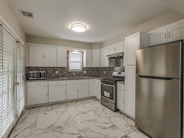 2837 SW 63rd St, Oklahoma City, OK 73159 - kitchen featuring appliances with stainless steel finishes, under cabinet range hood, light marble finish floors, tasteful backsplash, and dark stone counters