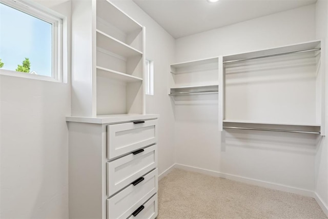 1690 Shaylee Ln, Choctaw, OK 73020 - walk in closet with light colored carpet