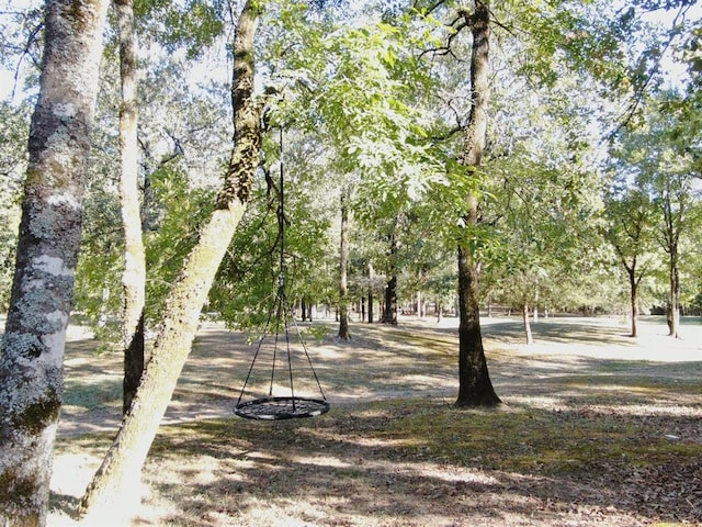 99 Sawtooth Pine Rd, Broken Bow, OK 74728 - view of community