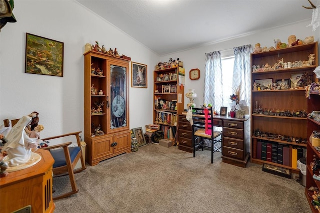 11221 N 1928th Rd, Sayre, OK 73662 - carpeted home office featuring vaulted ceiling