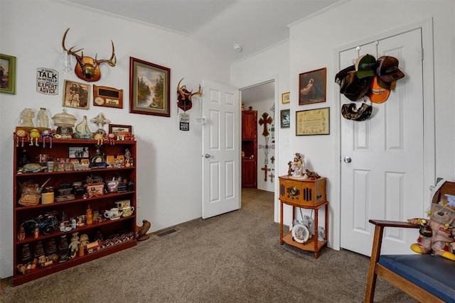 11221 N 1928th Rd, Sayre, OK 73662 - sitting room featuring carpet, lofted ceiling, and ornamental molding