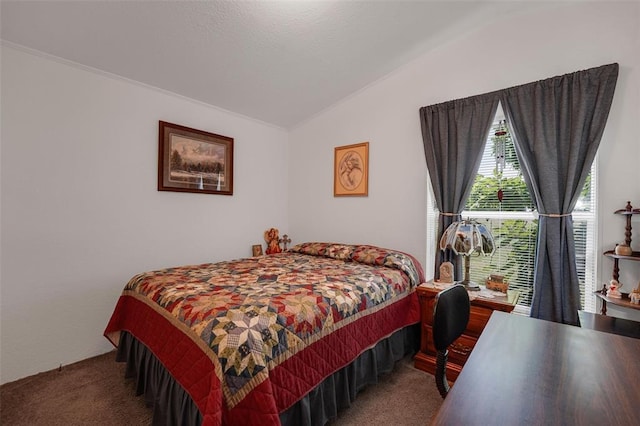 11221 N 1928th Rd, Sayre, OK 73662 - carpeted bedroom with lofted ceiling and crown molding
