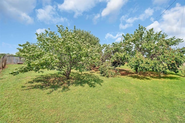 11221 N 1928th Rd, Sayre, OK 73662 - view of yard