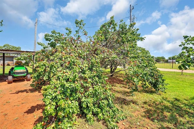 11221 N 1928th Rd, Sayre, OK 73662 - view of yard