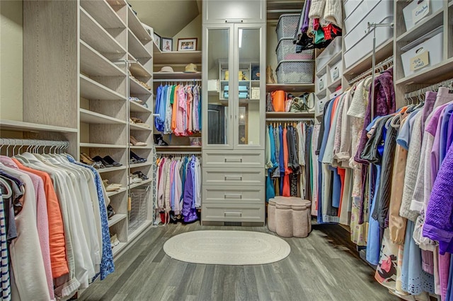 spacious closet featuring wood finished floors