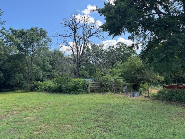 12237 N 359th Rd, Seminole, OK 74868 - view of green lawn