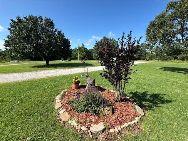 35352 Ew 1260th Rd, Seminole, OK 74868 - view of green lawn