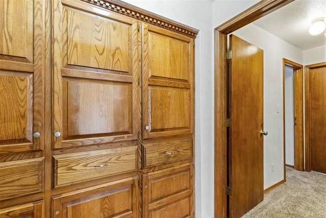 12725 Silver Ln, Oklahoma City, OK 73120 - detailed view of carpet floors and a textured ceiling