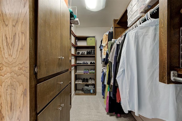 1810 Sandpiper Dr, Edmond, OK 73034 - spacious closet featuring light colored carpet