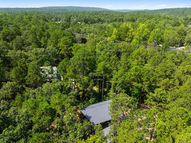 173 Guppy Ln, Hochatown, OK 74728 - drone / aerial view of a forest