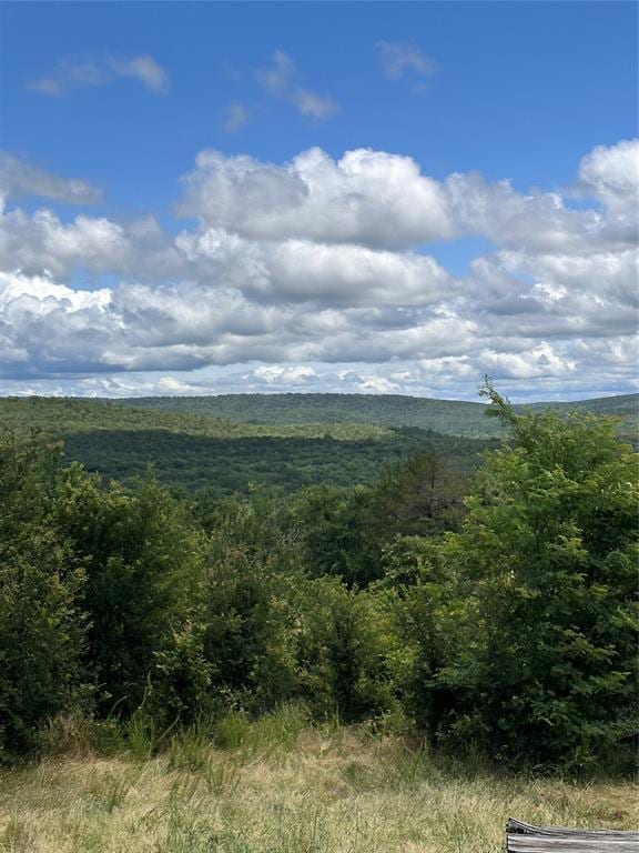 182424 N 4159th Rd, Moyers, OK 74557 - view of mountain background with a heavily wooded area