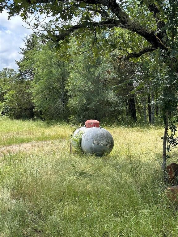 182424 N 4159th Rd, Moyers, OK 74557 - view of yard featuring a forest view