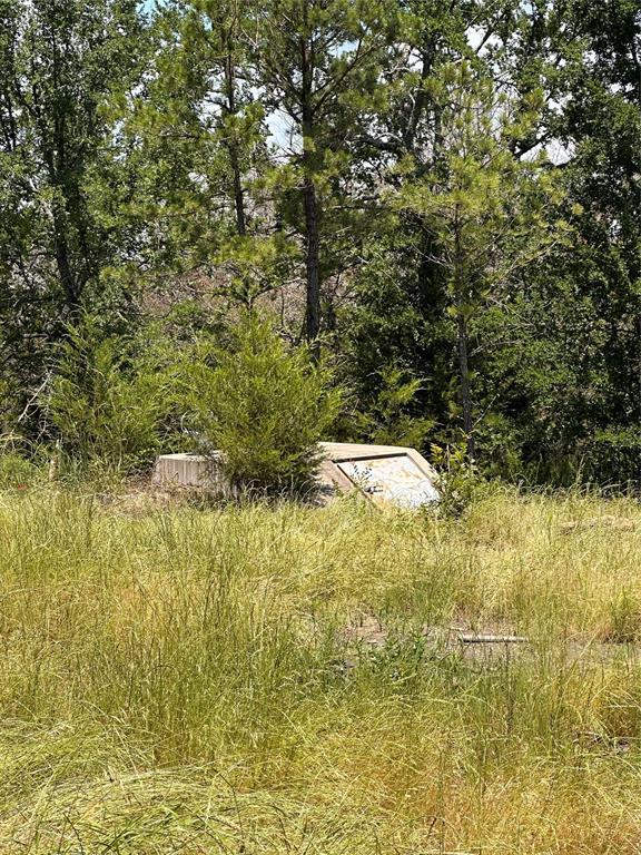 182424 N 4159th Rd, Moyers, OK 74557 - view of nature