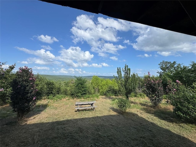 182424 N 4159th Rd, Moyers, OK 74557 - view of yard