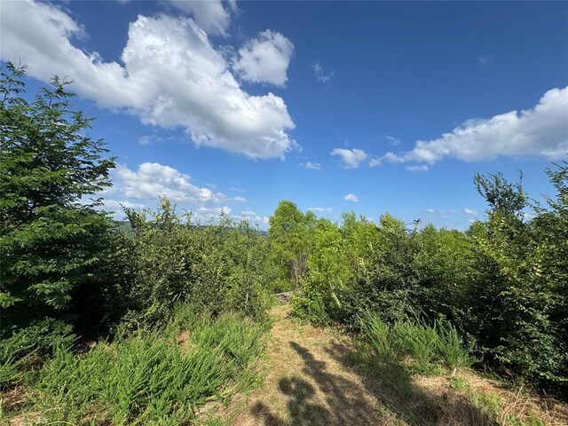 182424 N 4159th Rd, Moyers, OK 74557 - view of wooded area
