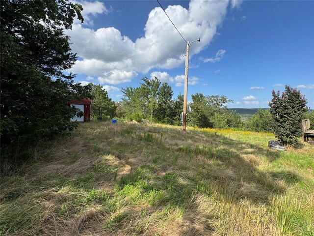 182424 N 4159th Rd, Moyers, OK 74557 - view of yard
