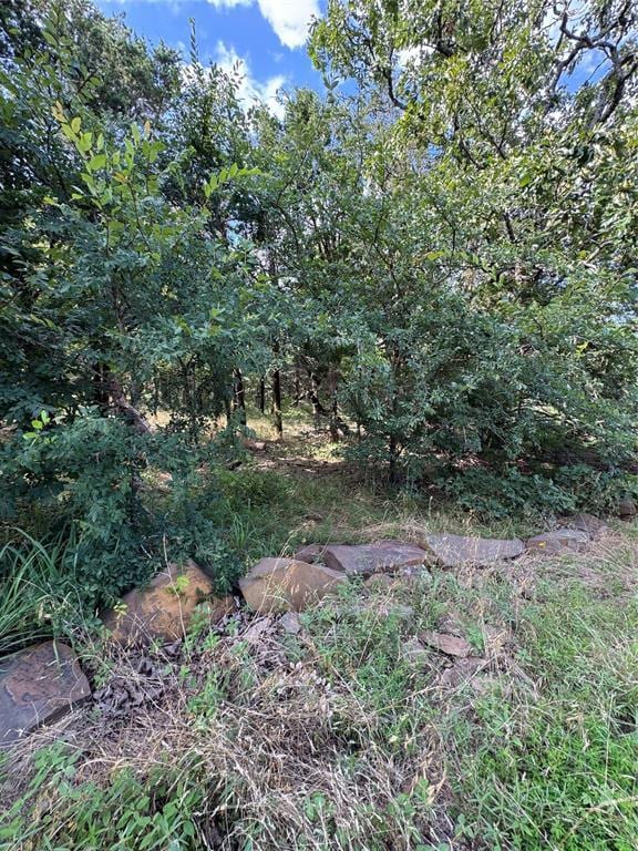 182424 N 4159th Rd, Moyers, OK 74557 - view of nature