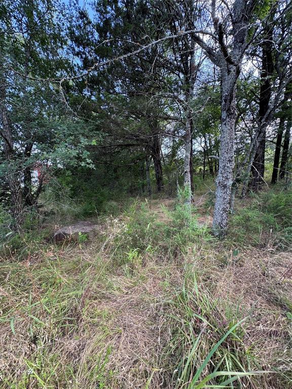 182424 N 4159th Rd, Moyers, OK 74557 - view of undeveloped land