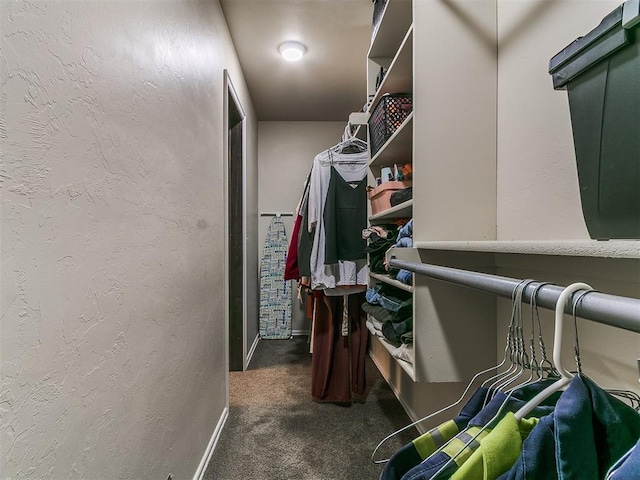 5053 Northridge Run, Cashion, OK 73016 - walk in closet featuring carpet floors