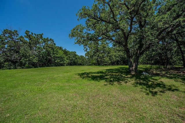 12333 E Tecumseh Rd, Norman, OK 73026 - view of green lawn featuring a wooded view
