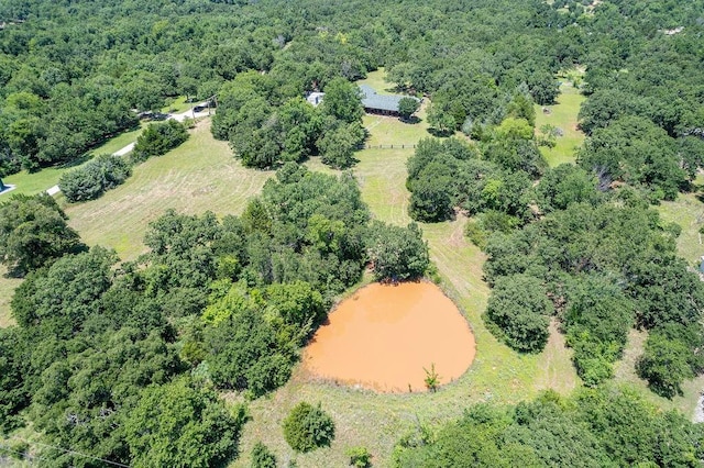12333 E Tecumseh Rd, Norman, OK 73026 - aerial view of a forest and a large body of water