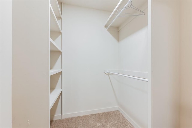 406 E Logan Ave, Guthrie, OK 73044 - walk in closet featuring carpet