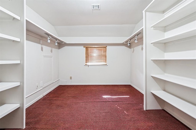 3425 Cheyenne Dr, Edmond, OK 73013 - spacious closet with carpet