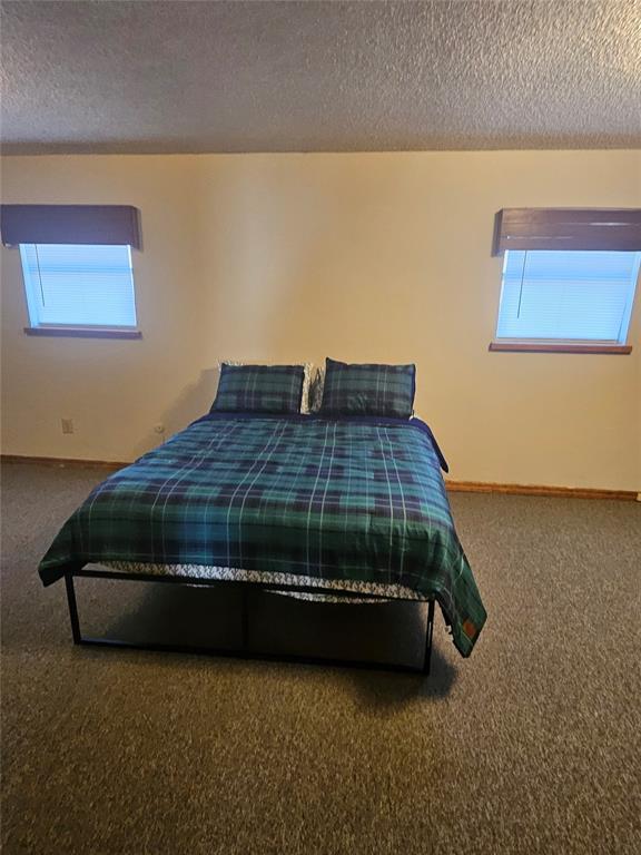 321 W 4th St, Hobart, OK 73651 - bedroom with carpet flooring, a textured ceiling, and multiple windows