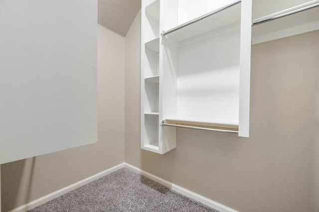 3000 Warwick Pl, Edmond, OK 73013 - walk in closet with carpet floors