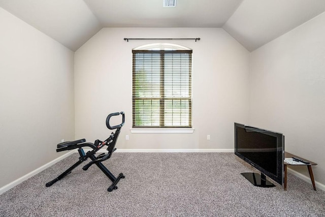 3000 Warwick Pl, Edmond, OK 73013 - workout room with vaulted ceiling, carpet, and healthy amount of natural light