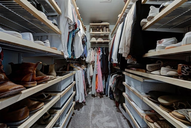 1001 Fountain Gate Cir, Norman, OK 73072 - walk in closet featuring carpet