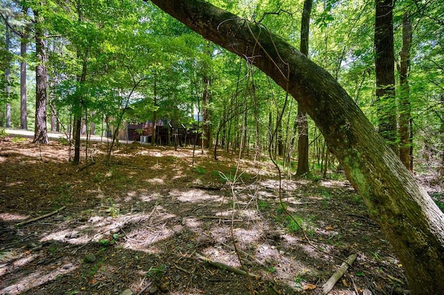 244 Hiddenwater Rd, Broken Bow, OK 74728 - view of local wilderness