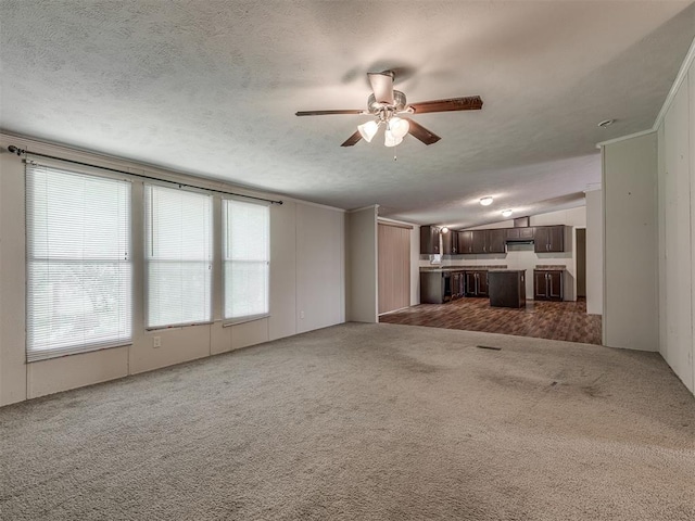 355370 E 970th Rd, Sparks, OK 74869 - unfurnished living room featuring ceiling fan, carpet floors, lofted ceiling, and a textured ceiling