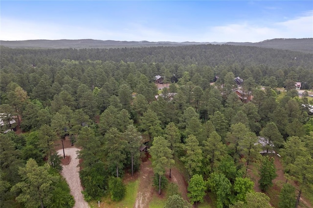 180 Black Jack Trl, Hochatown, OK 74728 - aerial view of a mountain backdrop