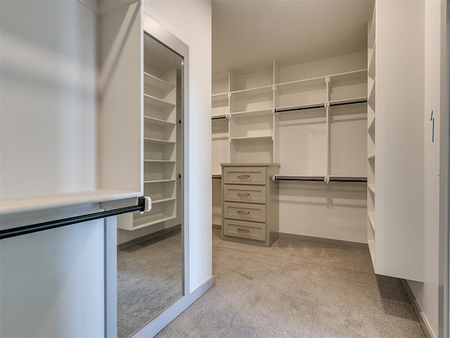 2741 Two Socks Run, Guthrie, OK 73044 - spacious closet with light carpet