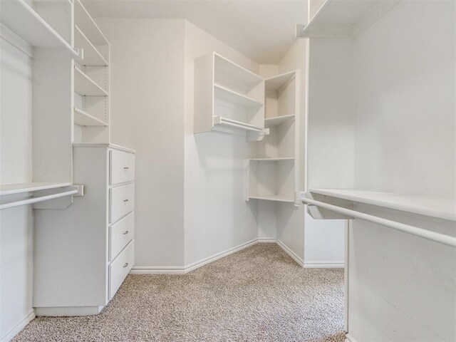 7313 Jack Dr, Oklahoma City, OK 73132 - walk in closet with carpet flooring